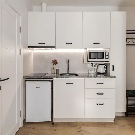 Demar Violet Apartment Lviv